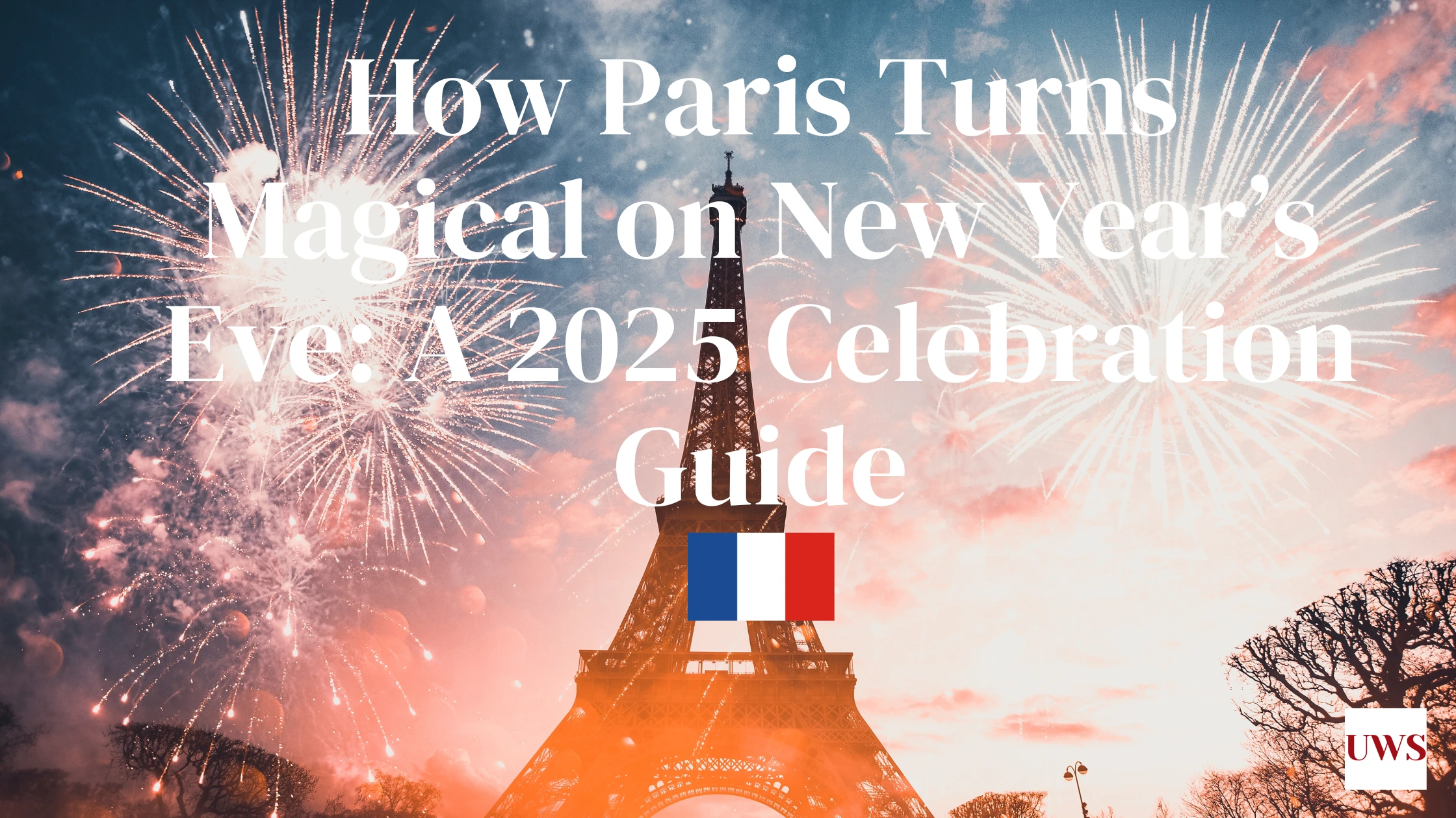 Paris New Year Celebration