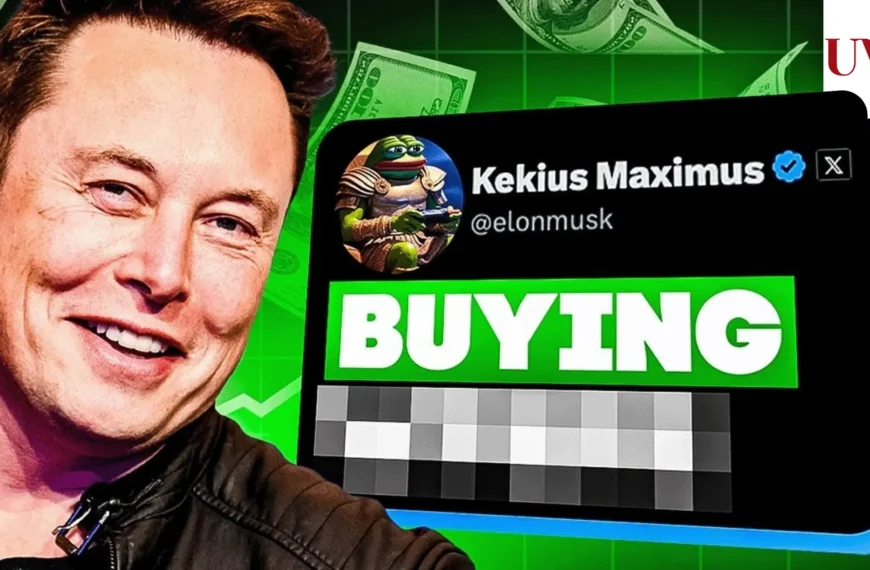 Kekius Maximus the Next Crypto